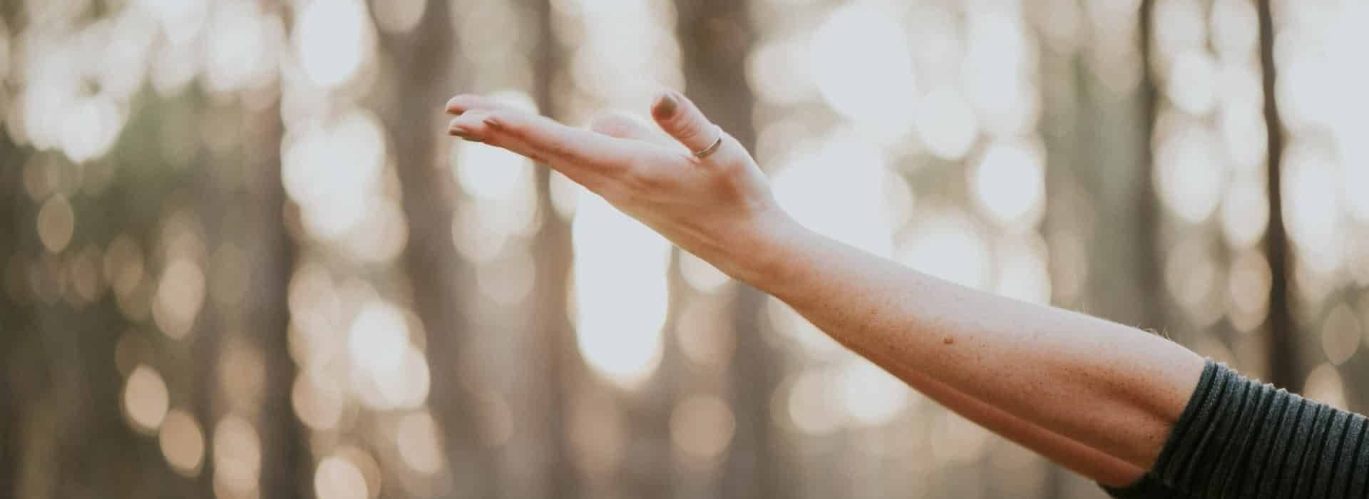 A hand is extended with fingers slightly curled against a blurred forest background.