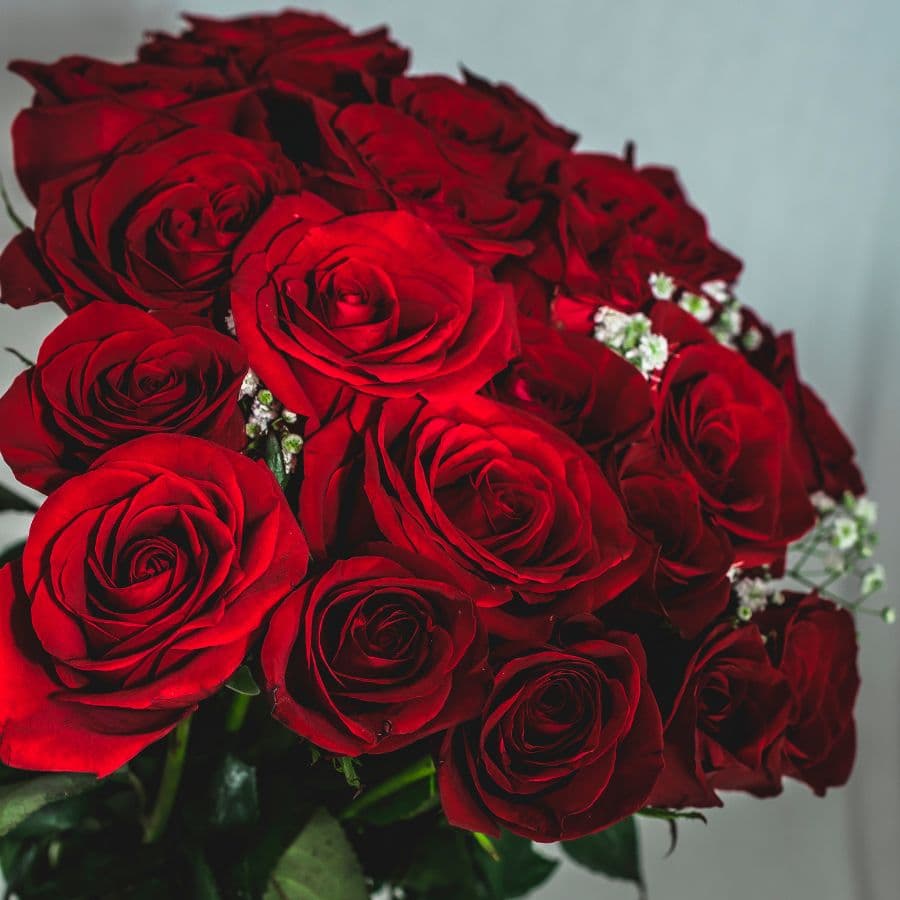 A vibrant bouquet of deep red roses, enhanced with delicate white fillers.