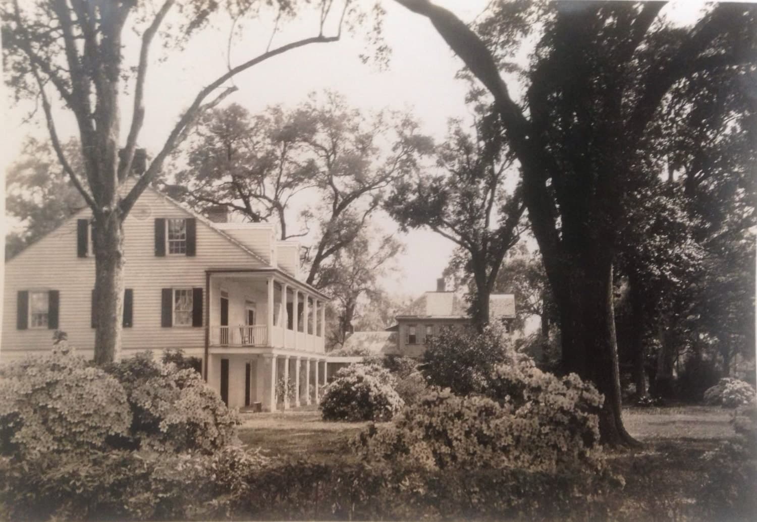 A historic two-story house surrounded by trees and blooming shrubs.