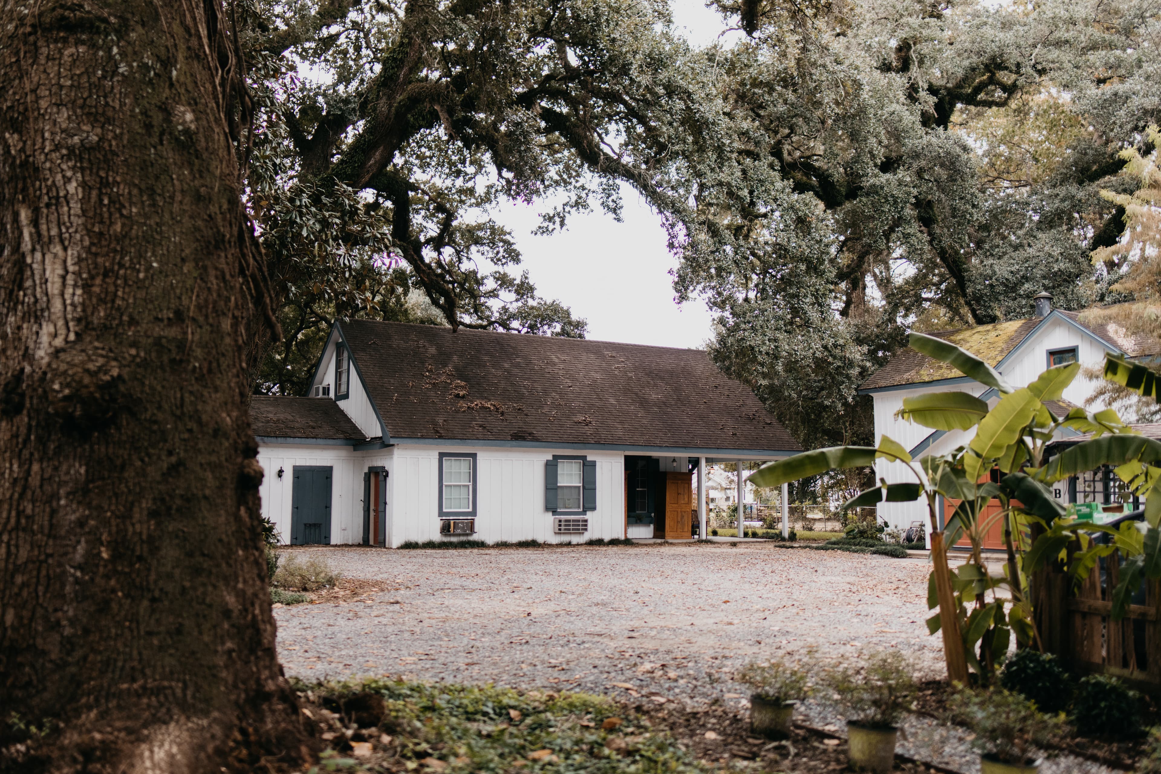 A white house with a dark roof sits among large trees and a gravel driveway.